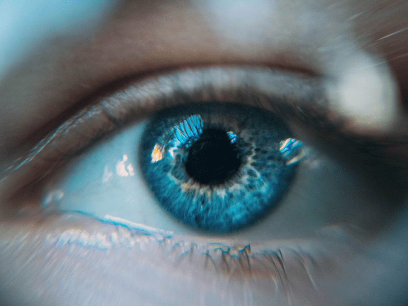 Empowering Your Child with a Disability: Celebrating Strengths and Building a Bright&nbsp;Future